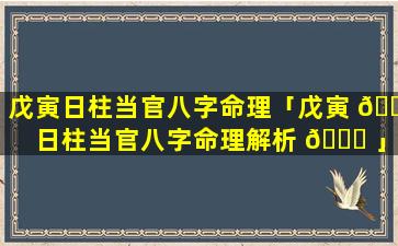 戊寅日柱当官八字命理「戊寅 🌷 日柱当官八字命理解析 🐋 」